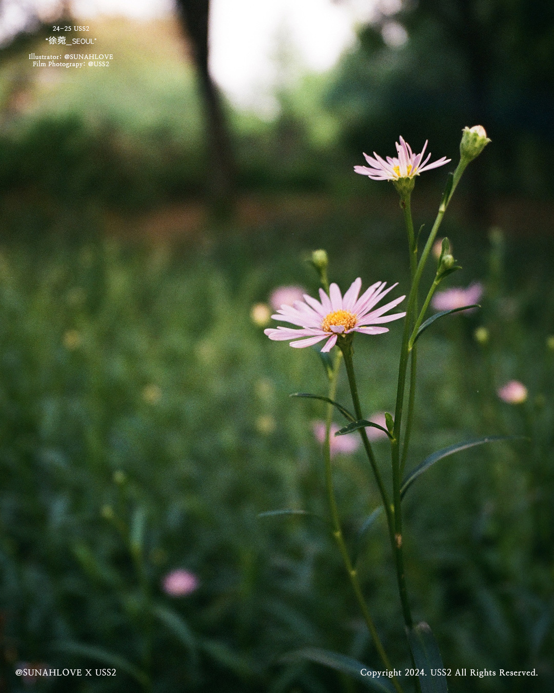 ��ǰ ������